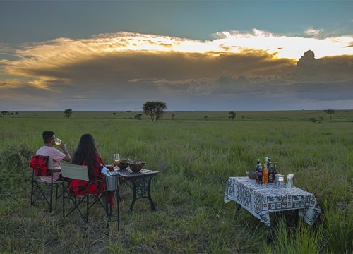 19 Days Bush And Beach Honeymoon Safari