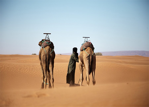 6 NIGHTS/ 7 DAYS IN DUBAI