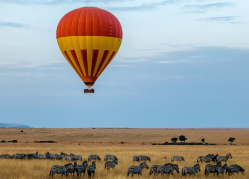 12 Days Kenya & Tanzania Safari