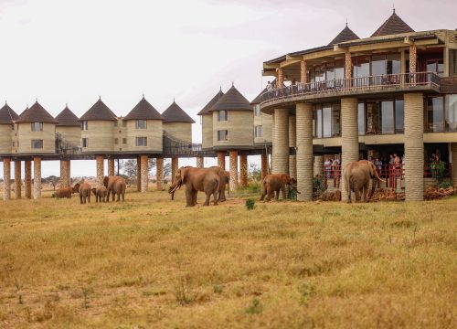 10-Day Luxury Kenya Safari Itinerary | Nairobi, Maasai Mara, Amboseli & Tsavo