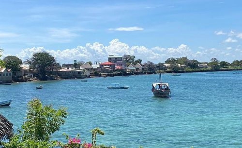 01DAY WASINI ISLAND DOLPHIN TOUR
