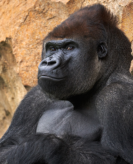 Rwanda