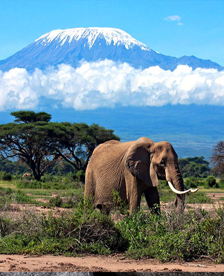 Tanzania